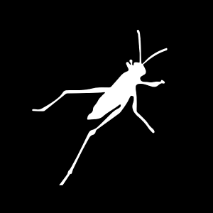 Logo Image